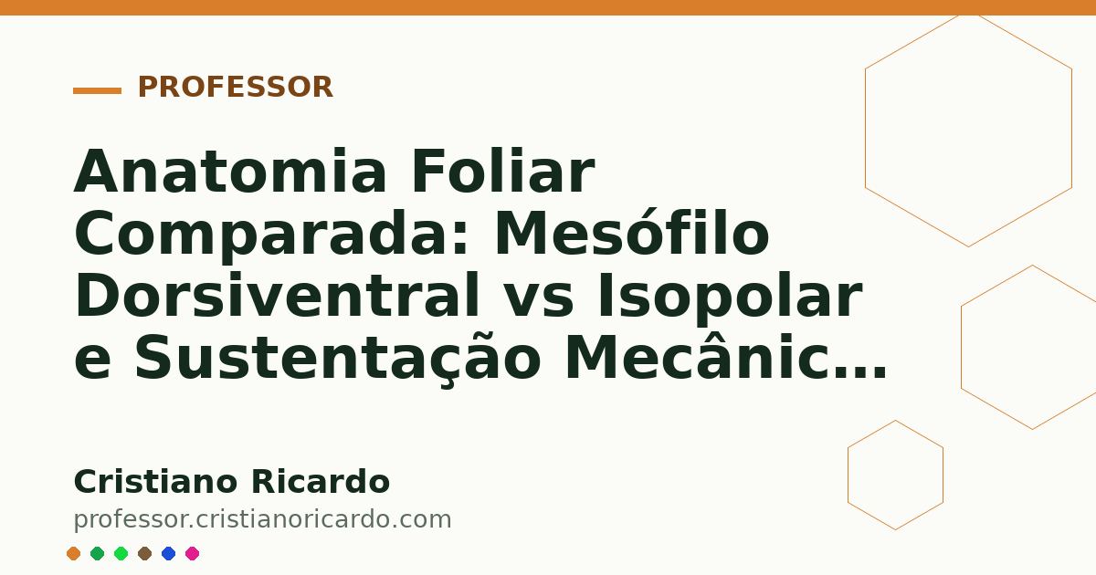 Card OG automático: Anatomia Foliar Comparada: Mesófilo Dorsiventral vs Isopolar e Sustentação Mecânica (Tratado de Farmacobotânica 2008)